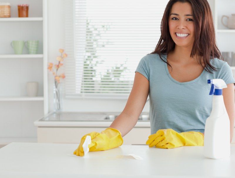 Cleaning Services